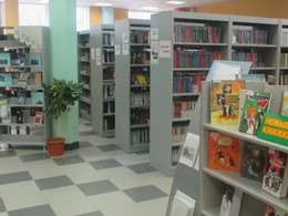 ���������� 216