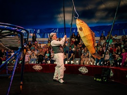 ���� ���������� �. �������