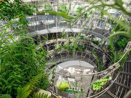 ������������ �������� ���������� - ���� ��������