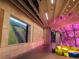 ���� ��������. ���������� ����������. ��������� 1