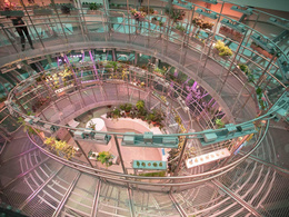 ���� ��������. ���������� ����������. ��������� 2