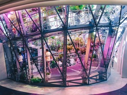 ���� ��������. ���������� ����������. ��������� 4