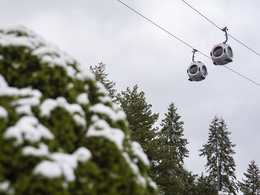 ��������� �������. �������� ������ ����