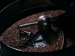 Rockets. Concept Store