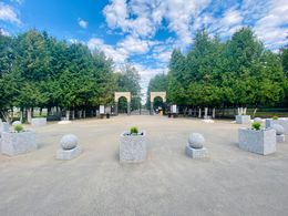 ���� �������� � ������ ����� �. �����������