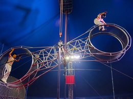 ���� ����������