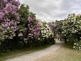 ��������� ���