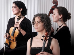 �������� ��� �������