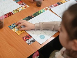 ����� ���� ����������: ��� ������-������ + ����� + ������������� ���������