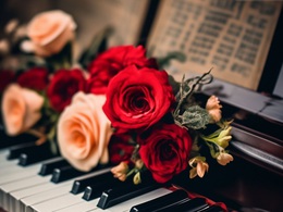 ���� ���� ��������� �� ������