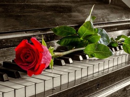 �������� VS ������