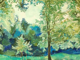 ����� ���� ����