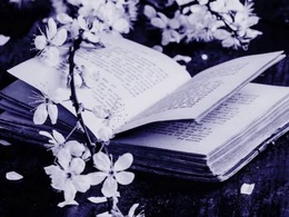 ����������� �����������