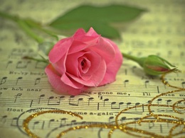 �.�. ������