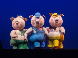 ��� ��������