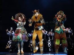 ���������� ����������� ���� � ����