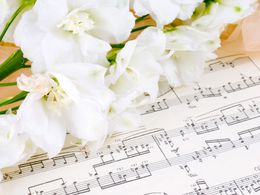 ���������� ������-����