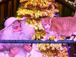 �������������� �������