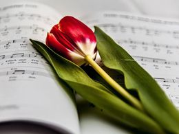 ������ ����� ���! ����� ���� � �����