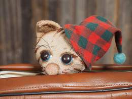 ��������� � ������ �������