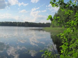 ����� ���