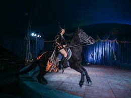 ���� ������ ������� �. �����