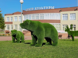 ����� ��������, �. ����������