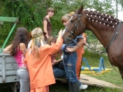 �������� ���