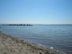 ���� ���������