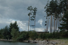 ����������� ���� �������������