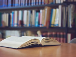 ���� �������