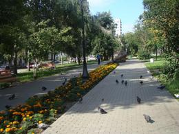 ����� ����������