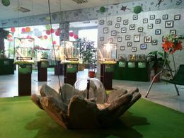 ��������