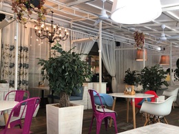 ���� �����