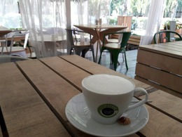 ����� ����