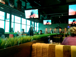 �������FF