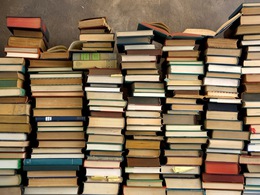 ����������� ��������� ���������� ��. ������