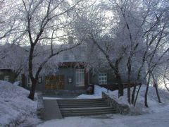 ������ ���