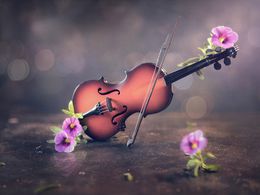 ����� ����, ��� ������ ����. �������