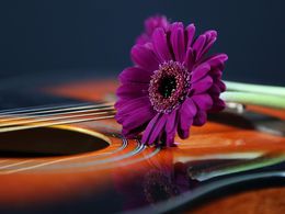 ���������, ������ � �����