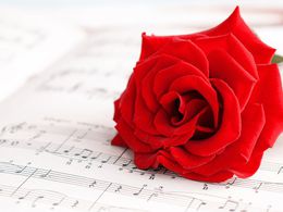 ������ ��� ���������� ������