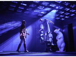 ����� ��� ����������