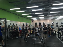 Alex Fitness �����