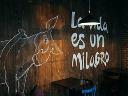 ���� ����