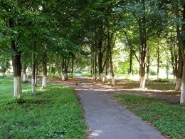 ����������� (�����)