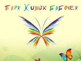 ��� �������