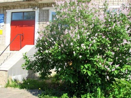 ���� �����, ����������� ������� ����������