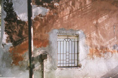 ���. ������