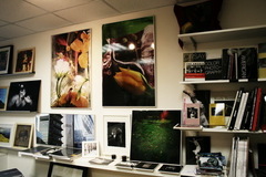 �������/���� ����������������