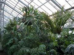 ������������ ���